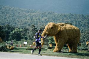 BIB: 
                            <button type="button" onclick="openModal(25932746)" class="btn btn-primary btn-sm float-right btn-popup" data-toggle="modal" data-target=".modal-high-quality">
                        <i class="fas fa-shopping-cart"></i> Add to Cart
                    </button>
                                            <button type="button" onclick="isThisMe(25932746, true)" class="btn btn-success btn-sm float-right btn-popup btn-isme hidden" data-toggle="tooltip" data-placement="bottom" title="นี่คือรูปของคุณใช่ไหม คลิกที่นี่เพื่อเอาเข้าอัลบั้ม">
                        <i class="fas fa-plus"></i> Add to album
                    </button>
                    <button type="button" onclick="isThisMe(25932746, false)" class="btn btn-warning btn-sm float-right btn-popup btn-isnotme hidden">
                        <i class="fas fa-ban"></i> Remove from album
                    </button>