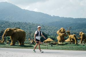 BIB: 
                            <button type="button" onclick="openModal(25968422)" class="btn btn-primary btn-sm float-right btn-popup" data-toggle="modal" data-target=".modal-high-quality">
                        <i class="fas fa-shopping-cart"></i> Add to Cart
                    </button>
                                            <button type="button" onclick="isThisMe(25968422, true)" class="btn btn-success btn-sm float-right btn-popup btn-isme hidden" data-toggle="tooltip" data-placement="bottom" title="นี่คือรูปของคุณใช่ไหม คลิกที่นี่เพื่อเอาเข้าอัลบั้ม">
                        <i class="fas fa-plus"></i> Add to album
                    </button>
                    <button type="button" onclick="isThisMe(25968422, false)" class="btn btn-warning btn-sm float-right btn-popup btn-isnotme hidden">
                        <i class="fas fa-ban"></i> Remove from album
                    </button>