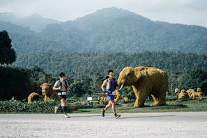 BIB: 
                            <button type="button" onclick="openModal(25872925)" class="btn btn-primary btn-sm float-right btn-popup" data-toggle="modal" data-target=".modal-high-quality">
                        <i class="fas fa-shopping-cart"></i> Add to Cart
                    </button>
                                            <button type="button" onclick="isThisMe(25872925, true)" class="btn btn-success btn-sm float-right btn-popup btn-isme hidden" data-toggle="tooltip" data-placement="bottom" title="นี่คือรูปของคุณใช่ไหม คลิกที่นี่เพื่อเอาเข้าอัลบั้ม">
                        <i class="fas fa-plus"></i> Add to album
                    </button>
                    <button type="button" onclick="isThisMe(25872925, false)" class="btn btn-warning btn-sm float-right btn-popup btn-isnotme hidden">
                        <i class="fas fa-ban"></i> Remove from album
                    </button>