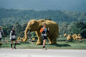 BIB: 
                            <button type="button" onclick="openModal(25945463)" class="btn btn-primary btn-sm float-right btn-popup" data-toggle="modal" data-target=".modal-high-quality">
                        <i class="fas fa-shopping-cart"></i> Add to Cart
                    </button>
                                            <button type="button" onclick="isThisMe(25945463, true)" class="btn btn-success btn-sm float-right btn-popup btn-isme hidden" data-toggle="tooltip" data-placement="bottom" title="นี่คือรูปของคุณใช่ไหม คลิกที่นี่เพื่อเอาเข้าอัลบั้ม">
                        <i class="fas fa-plus"></i> Add to album
                    </button>
                    <button type="button" onclick="isThisMe(25945463, false)" class="btn btn-warning btn-sm float-right btn-popup btn-isnotme hidden">
                        <i class="fas fa-ban"></i> Remove from album
                    </button>