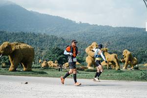 BIB: 
                            <button type="button" onclick="openModal(25898530)" class="btn btn-primary btn-sm float-right btn-popup" data-toggle="modal" data-target=".modal-high-quality">
                        <i class="fas fa-shopping-cart"></i> Add to Cart
                    </button>
                                            <button type="button" onclick="isThisMe(25898530, true)" class="btn btn-success btn-sm float-right btn-popup btn-isme hidden" data-toggle="tooltip" data-placement="bottom" title="นี่คือรูปของคุณใช่ไหม คลิกที่นี่เพื่อเอาเข้าอัลบั้ม">
                        <i class="fas fa-plus"></i> Add to album
                    </button>
                    <button type="button" onclick="isThisMe(25898530, false)" class="btn btn-warning btn-sm float-right btn-popup btn-isnotme hidden">
                        <i class="fas fa-ban"></i> Remove from album
                    </button>