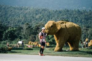 BIB: 
                            <button type="button" onclick="openModal(25888666)" class="btn btn-primary btn-sm float-right btn-popup" data-toggle="modal" data-target=".modal-high-quality">
                        <i class="fas fa-shopping-cart"></i> Add to Cart
                    </button>
                                            <button type="button" onclick="isThisMe(25888666, true)" class="btn btn-success btn-sm float-right btn-popup btn-isme hidden" data-toggle="tooltip" data-placement="bottom" title="นี่คือรูปของคุณใช่ไหม คลิกที่นี่เพื่อเอาเข้าอัลบั้ม">
                        <i class="fas fa-plus"></i> Add to album
                    </button>
                    <button type="button" onclick="isThisMe(25888666, false)" class="btn btn-warning btn-sm float-right btn-popup btn-isnotme hidden">
                        <i class="fas fa-ban"></i> Remove from album
                    </button>