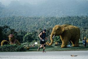 BIB: 
                            <button type="button" onclick="openModal(25892084)" class="btn btn-primary btn-sm float-right btn-popup" data-toggle="modal" data-target=".modal-high-quality">
                        <i class="fas fa-shopping-cart"></i> Add to Cart
                    </button>
                                            <button type="button" onclick="isThisMe(25892084, true)" class="btn btn-success btn-sm float-right btn-popup btn-isme hidden" data-toggle="tooltip" data-placement="bottom" title="นี่คือรูปของคุณใช่ไหม คลิกที่นี่เพื่อเอาเข้าอัลบั้ม">
                        <i class="fas fa-plus"></i> Add to album
                    </button>
                    <button type="button" onclick="isThisMe(25892084, false)" class="btn btn-warning btn-sm float-right btn-popup btn-isnotme hidden">
                        <i class="fas fa-ban"></i> Remove from album
                    </button>