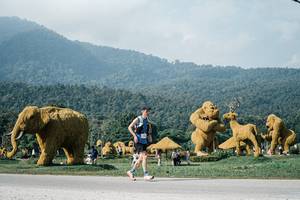 BIB: 
                            <button type="button" onclick="openModal(25878503)" class="btn btn-primary btn-sm float-right btn-popup" data-toggle="modal" data-target=".modal-high-quality">
                        <i class="fas fa-shopping-cart"></i> Add to Cart
                    </button>
                                            <button type="button" onclick="isThisMe(25878503, true)" class="btn btn-success btn-sm float-right btn-popup btn-isme hidden" data-toggle="tooltip" data-placement="bottom" title="นี่คือรูปของคุณใช่ไหม คลิกที่นี่เพื่อเอาเข้าอัลบั้ม">
                        <i class="fas fa-plus"></i> Add to album
                    </button>
                    <button type="button" onclick="isThisMe(25878503, false)" class="btn btn-warning btn-sm float-right btn-popup btn-isnotme hidden">
                        <i class="fas fa-ban"></i> Remove from album
                    </button>