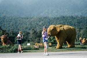 BIB: 
                            <button type="button" onclick="openModal(25884841)" class="btn btn-primary btn-sm float-right btn-popup" data-toggle="modal" data-target=".modal-high-quality">
                        <i class="fas fa-shopping-cart"></i> Add to Cart
                    </button>
                                            <button type="button" onclick="isThisMe(25884841, true)" class="btn btn-success btn-sm float-right btn-popup btn-isme hidden" data-toggle="tooltip" data-placement="bottom" title="นี่คือรูปของคุณใช่ไหม คลิกที่นี่เพื่อเอาเข้าอัลบั้ม">
                        <i class="fas fa-plus"></i> Add to album
                    </button>
                    <button type="button" onclick="isThisMe(25884841, false)" class="btn btn-warning btn-sm float-right btn-popup btn-isnotme hidden">
                        <i class="fas fa-ban"></i> Remove from album
                    </button>