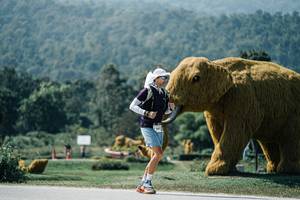 BIB: 
                            <button type="button" onclick="openModal(25971855)" class="btn btn-primary btn-sm float-right btn-popup" data-toggle="modal" data-target=".modal-high-quality">
                        <i class="fas fa-shopping-cart"></i> Add to Cart
                    </button>
                                            <button type="button" onclick="isThisMe(25971855, true)" class="btn btn-success btn-sm float-right btn-popup btn-isme hidden" data-toggle="tooltip" data-placement="bottom" title="นี่คือรูปของคุณใช่ไหม คลิกที่นี่เพื่อเอาเข้าอัลบั้ม">
                        <i class="fas fa-plus"></i> Add to album
                    </button>
                    <button type="button" onclick="isThisMe(25971855, false)" class="btn btn-warning btn-sm float-right btn-popup btn-isnotme hidden">
                        <i class="fas fa-ban"></i> Remove from album
                    </button>