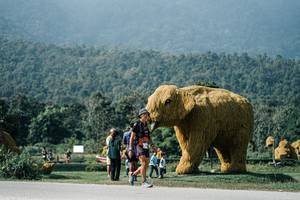 BIB: 
                            <button type="button" onclick="openModal(25891008)" class="btn btn-primary btn-sm float-right btn-popup" data-toggle="modal" data-target=".modal-high-quality">
                        <i class="fas fa-shopping-cart"></i> Add to Cart
                    </button>
                                            <button type="button" onclick="isThisMe(25891008, true)" class="btn btn-success btn-sm float-right btn-popup btn-isme hidden" data-toggle="tooltip" data-placement="bottom" title="นี่คือรูปของคุณใช่ไหม คลิกที่นี่เพื่อเอาเข้าอัลบั้ม">
                        <i class="fas fa-plus"></i> Add to album
                    </button>
                    <button type="button" onclick="isThisMe(25891008, false)" class="btn btn-warning btn-sm float-right btn-popup btn-isnotme hidden">
                        <i class="fas fa-ban"></i> Remove from album
                    </button>