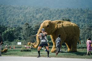 BIB: 
                            <button type="button" onclick="openModal(25943911)" class="btn btn-primary btn-sm float-right btn-popup" data-toggle="modal" data-target=".modal-high-quality">
                        <i class="fas fa-shopping-cart"></i> Add to Cart
                    </button>
                                            <button type="button" onclick="isThisMe(25943911, true)" class="btn btn-success btn-sm float-right btn-popup btn-isme hidden" data-toggle="tooltip" data-placement="bottom" title="นี่คือรูปของคุณใช่ไหม คลิกที่นี่เพื่อเอาเข้าอัลบั้ม">
                        <i class="fas fa-plus"></i> Add to album
                    </button>
                    <button type="button" onclick="isThisMe(25943911, false)" class="btn btn-warning btn-sm float-right btn-popup btn-isnotme hidden">
                        <i class="fas fa-ban"></i> Remove from album
                    </button>