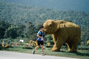 BIB: 
                            <button type="button" onclick="openModal(25932922)" class="btn btn-primary btn-sm float-right btn-popup" data-toggle="modal" data-target=".modal-high-quality">
                        <i class="fas fa-shopping-cart"></i> Add to Cart
                    </button>
                                            <button type="button" onclick="isThisMe(25932922, true)" class="btn btn-success btn-sm float-right btn-popup btn-isme hidden" data-toggle="tooltip" data-placement="bottom" title="นี่คือรูปของคุณใช่ไหม คลิกที่นี่เพื่อเอาเข้าอัลบั้ม">
                        <i class="fas fa-plus"></i> Add to album
                    </button>
                    <button type="button" onclick="isThisMe(25932922, false)" class="btn btn-warning btn-sm float-right btn-popup btn-isnotme hidden">
                        <i class="fas fa-ban"></i> Remove from album
                    </button>