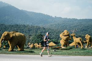 BIB: 
                            <button type="button" onclick="openModal(25888423)" class="btn btn-primary btn-sm float-right btn-popup" data-toggle="modal" data-target=".modal-high-quality">
                        <i class="fas fa-shopping-cart"></i> Add to Cart
                    </button>
                                            <button type="button" onclick="isThisMe(25888423, true)" class="btn btn-success btn-sm float-right btn-popup btn-isme hidden" data-toggle="tooltip" data-placement="bottom" title="นี่คือรูปของคุณใช่ไหม คลิกที่นี่เพื่อเอาเข้าอัลบั้ม">
                        <i class="fas fa-plus"></i> Add to album
                    </button>
                    <button type="button" onclick="isThisMe(25888423, false)" class="btn btn-warning btn-sm float-right btn-popup btn-isnotme hidden">
                        <i class="fas fa-ban"></i> Remove from album
                    </button>