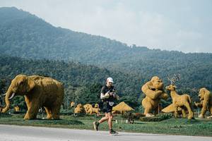 BIB: 
                            <button type="button" onclick="openModal(25871364)" class="btn btn-primary btn-sm float-right btn-popup" data-toggle="modal" data-target=".modal-high-quality">
                        <i class="fas fa-shopping-cart"></i> Add to Cart
                    </button>
                                            <button type="button" onclick="isThisMe(25871364, true)" class="btn btn-success btn-sm float-right btn-popup btn-isme hidden" data-toggle="tooltip" data-placement="bottom" title="นี่คือรูปของคุณใช่ไหม คลิกที่นี่เพื่อเอาเข้าอัลบั้ม">
                        <i class="fas fa-plus"></i> Add to album
                    </button>
                    <button type="button" onclick="isThisMe(25871364, false)" class="btn btn-warning btn-sm float-right btn-popup btn-isnotme hidden">
                        <i class="fas fa-ban"></i> Remove from album
                    </button>