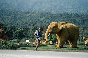 BIB: 
                            <button type="button" onclick="openModal(25873280)" class="btn btn-primary btn-sm float-right btn-popup" data-toggle="modal" data-target=".modal-high-quality">
                        <i class="fas fa-shopping-cart"></i> Add to Cart
                    </button>
                                            <button type="button" onclick="isThisMe(25873280, true)" class="btn btn-success btn-sm float-right btn-popup btn-isme hidden" data-toggle="tooltip" data-placement="bottom" title="นี่คือรูปของคุณใช่ไหม คลิกที่นี่เพื่อเอาเข้าอัลบั้ม">
                        <i class="fas fa-plus"></i> Add to album
                    </button>
                    <button type="button" onclick="isThisMe(25873280, false)" class="btn btn-warning btn-sm float-right btn-popup btn-isnotme hidden">
                        <i class="fas fa-ban"></i> Remove from album
                    </button>