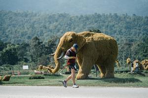 BIB: 
                            <button type="button" onclick="openModal(25969213)" class="btn btn-primary btn-sm float-right btn-popup" data-toggle="modal" data-target=".modal-high-quality">
                        <i class="fas fa-shopping-cart"></i> Add to Cart
                    </button>
                                            <button type="button" onclick="isThisMe(25969213, true)" class="btn btn-success btn-sm float-right btn-popup btn-isme hidden" data-toggle="tooltip" data-placement="bottom" title="นี่คือรูปของคุณใช่ไหม คลิกที่นี่เพื่อเอาเข้าอัลบั้ม">
                        <i class="fas fa-plus"></i> Add to album
                    </button>
                    <button type="button" onclick="isThisMe(25969213, false)" class="btn btn-warning btn-sm float-right btn-popup btn-isnotme hidden">
                        <i class="fas fa-ban"></i> Remove from album
                    </button>