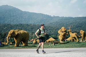 BIB: 
                            <button type="button" onclick="openModal(25872056)" class="btn btn-primary btn-sm float-right btn-popup" data-toggle="modal" data-target=".modal-high-quality">
                        <i class="fas fa-shopping-cart"></i> Add to Cart
                    </button>
                                            <button type="button" onclick="isThisMe(25872056, true)" class="btn btn-success btn-sm float-right btn-popup btn-isme hidden" data-toggle="tooltip" data-placement="bottom" title="นี่คือรูปของคุณใช่ไหม คลิกที่นี่เพื่อเอาเข้าอัลบั้ม">
                        <i class="fas fa-plus"></i> Add to album
                    </button>
                    <button type="button" onclick="isThisMe(25872056, false)" class="btn btn-warning btn-sm float-right btn-popup btn-isnotme hidden">
                        <i class="fas fa-ban"></i> Remove from album
                    </button>