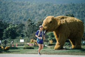 BIB: 
                            <button type="button" onclick="openModal(25922686)" class="btn btn-primary btn-sm float-right btn-popup" data-toggle="modal" data-target=".modal-high-quality">
                        <i class="fas fa-shopping-cart"></i> Add to Cart
                    </button>
                                            <button type="button" onclick="isThisMe(25922686, true)" class="btn btn-success btn-sm float-right btn-popup btn-isme hidden" data-toggle="tooltip" data-placement="bottom" title="นี่คือรูปของคุณใช่ไหม คลิกที่นี่เพื่อเอาเข้าอัลบั้ม">
                        <i class="fas fa-plus"></i> Add to album
                    </button>
                    <button type="button" onclick="isThisMe(25922686, false)" class="btn btn-warning btn-sm float-right btn-popup btn-isnotme hidden">
                        <i class="fas fa-ban"></i> Remove from album
                    </button>