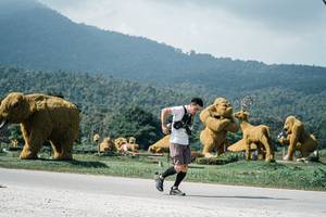 BIB: 
                            <button type="button" onclick="openModal(25924733)" class="btn btn-primary btn-sm float-right btn-popup" data-toggle="modal" data-target=".modal-high-quality">
                        <i class="fas fa-shopping-cart"></i> Add to Cart
                    </button>
                                            <button type="button" onclick="isThisMe(25924733, true)" class="btn btn-success btn-sm float-right btn-popup btn-isme hidden" data-toggle="tooltip" data-placement="bottom" title="นี่คือรูปของคุณใช่ไหม คลิกที่นี่เพื่อเอาเข้าอัลบั้ม">
                        <i class="fas fa-plus"></i> Add to album
                    </button>
                    <button type="button" onclick="isThisMe(25924733, false)" class="btn btn-warning btn-sm float-right btn-popup btn-isnotme hidden">
                        <i class="fas fa-ban"></i> Remove from album
                    </button>