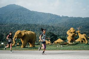 BIB: 
                            <button type="button" onclick="openModal(25870809)" class="btn btn-primary btn-sm float-right btn-popup" data-toggle="modal" data-target=".modal-high-quality">
                        <i class="fas fa-shopping-cart"></i> Add to Cart
                    </button>
                                            <button type="button" onclick="isThisMe(25870809, true)" class="btn btn-success btn-sm float-right btn-popup btn-isme hidden" data-toggle="tooltip" data-placement="bottom" title="นี่คือรูปของคุณใช่ไหม คลิกที่นี่เพื่อเอาเข้าอัลบั้ม">
                        <i class="fas fa-plus"></i> Add to album
                    </button>
                    <button type="button" onclick="isThisMe(25870809, false)" class="btn btn-warning btn-sm float-right btn-popup btn-isnotme hidden">
                        <i class="fas fa-ban"></i> Remove from album
                    </button>