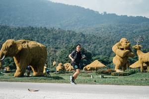 BIB: 
                            <button type="button" onclick="openModal(25891801)" class="btn btn-primary btn-sm float-right btn-popup" data-toggle="modal" data-target=".modal-high-quality">
                        <i class="fas fa-shopping-cart"></i> Add to Cart
                    </button>
                                            <button type="button" onclick="isThisMe(25891801, true)" class="btn btn-success btn-sm float-right btn-popup btn-isme hidden" data-toggle="tooltip" data-placement="bottom" title="นี่คือรูปของคุณใช่ไหม คลิกที่นี่เพื่อเอาเข้าอัลบั้ม">
                        <i class="fas fa-plus"></i> Add to album
                    </button>
                    <button type="button" onclick="isThisMe(25891801, false)" class="btn btn-warning btn-sm float-right btn-popup btn-isnotme hidden">
                        <i class="fas fa-ban"></i> Remove from album
                    </button>