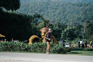 BIB: 
                            <button type="button" onclick="openModal(25876446)" class="btn btn-primary btn-sm float-right btn-popup" data-toggle="modal" data-target=".modal-high-quality">
                        <i class="fas fa-shopping-cart"></i> Add to Cart
                    </button>
                                            <button type="button" onclick="isThisMe(25876446, true)" class="btn btn-success btn-sm float-right btn-popup btn-isme hidden" data-toggle="tooltip" data-placement="bottom" title="นี่คือรูปของคุณใช่ไหม คลิกที่นี่เพื่อเอาเข้าอัลบั้ม">
                        <i class="fas fa-plus"></i> Add to album
                    </button>
                    <button type="button" onclick="isThisMe(25876446, false)" class="btn btn-warning btn-sm float-right btn-popup btn-isnotme hidden">
                        <i class="fas fa-ban"></i> Remove from album
                    </button>