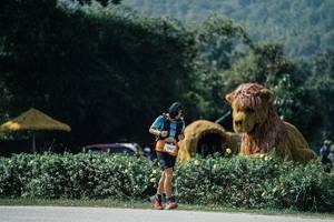 BIB: 
                            <button type="button" onclick="openModal(25935086)" class="btn btn-primary btn-sm float-right btn-popup" data-toggle="modal" data-target=".modal-high-quality">
                        <i class="fas fa-shopping-cart"></i> Add to Cart
                    </button>
                                            <button type="button" onclick="isThisMe(25935086, true)" class="btn btn-success btn-sm float-right btn-popup btn-isme hidden" data-toggle="tooltip" data-placement="bottom" title="นี่คือรูปของคุณใช่ไหม คลิกที่นี่เพื่อเอาเข้าอัลบั้ม">
                        <i class="fas fa-plus"></i> Add to album
                    </button>
                    <button type="button" onclick="isThisMe(25935086, false)" class="btn btn-warning btn-sm float-right btn-popup btn-isnotme hidden">
                        <i class="fas fa-ban"></i> Remove from album
                    </button>