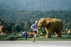 BIB: 
                            <button type="button" onclick="openModal(25871828)" class="btn btn-primary btn-sm float-right btn-popup" data-toggle="modal" data-target=".modal-high-quality">
                        <i class="fas fa-shopping-cart"></i> Add to Cart
                    </button>
                                            <button type="button" onclick="isThisMe(25871828, true)" class="btn btn-success btn-sm float-right btn-popup btn-isme hidden" data-toggle="tooltip" data-placement="bottom" title="นี่คือรูปของคุณใช่ไหม คลิกที่นี่เพื่อเอาเข้าอัลบั้ม">
                        <i class="fas fa-plus"></i> Add to album
                    </button>
                    <button type="button" onclick="isThisMe(25871828, false)" class="btn btn-warning btn-sm float-right btn-popup btn-isnotme hidden">
                        <i class="fas fa-ban"></i> Remove from album
                    </button>