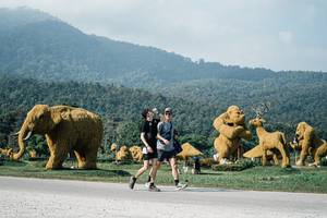 BIB: 
                            <button type="button" onclick="openModal(25875798)" class="btn btn-primary btn-sm float-right btn-popup" data-toggle="modal" data-target=".modal-high-quality">
                        <i class="fas fa-shopping-cart"></i> Add to Cart
                    </button>
                                            <button type="button" onclick="isThisMe(25875798, true)" class="btn btn-success btn-sm float-right btn-popup btn-isme hidden" data-toggle="tooltip" data-placement="bottom" title="นี่คือรูปของคุณใช่ไหม คลิกที่นี่เพื่อเอาเข้าอัลบั้ม">
                        <i class="fas fa-plus"></i> Add to album
                    </button>
                    <button type="button" onclick="isThisMe(25875798, false)" class="btn btn-warning btn-sm float-right btn-popup btn-isnotme hidden">
                        <i class="fas fa-ban"></i> Remove from album
                    </button>