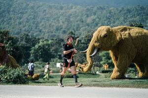 BIB: 
                            <button type="button" onclick="openModal(25925897)" class="btn btn-primary btn-sm float-right btn-popup" data-toggle="modal" data-target=".modal-high-quality">
                        <i class="fas fa-shopping-cart"></i> Add to Cart
                    </button>
                                            <button type="button" onclick="isThisMe(25925897, true)" class="btn btn-success btn-sm float-right btn-popup btn-isme hidden" data-toggle="tooltip" data-placement="bottom" title="นี่คือรูปของคุณใช่ไหม คลิกที่นี่เพื่อเอาเข้าอัลบั้ม">
                        <i class="fas fa-plus"></i> Add to album
                    </button>
                    <button type="button" onclick="isThisMe(25925897, false)" class="btn btn-warning btn-sm float-right btn-popup btn-isnotme hidden">
                        <i class="fas fa-ban"></i> Remove from album
                    </button>