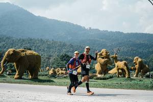 BIB: 
                            <button type="button" onclick="openModal(25967696)" class="btn btn-primary btn-sm float-right btn-popup" data-toggle="modal" data-target=".modal-high-quality">
                        <i class="fas fa-shopping-cart"></i> Add to Cart
                    </button>
                                            <button type="button" onclick="isThisMe(25967696, true)" class="btn btn-success btn-sm float-right btn-popup btn-isme hidden" data-toggle="tooltip" data-placement="bottom" title="นี่คือรูปของคุณใช่ไหม คลิกที่นี่เพื่อเอาเข้าอัลบั้ม">
                        <i class="fas fa-plus"></i> Add to album
                    </button>
                    <button type="button" onclick="isThisMe(25967696, false)" class="btn btn-warning btn-sm float-right btn-popup btn-isnotme hidden">
                        <i class="fas fa-ban"></i> Remove from album
                    </button>