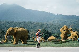 BIB: 
                            <button type="button" onclick="openModal(25904870)" class="btn btn-primary btn-sm float-right btn-popup" data-toggle="modal" data-target=".modal-high-quality">
                        <i class="fas fa-shopping-cart"></i> Add to Cart
                    </button>
                                            <button type="button" onclick="isThisMe(25904870, true)" class="btn btn-success btn-sm float-right btn-popup btn-isme hidden" data-toggle="tooltip" data-placement="bottom" title="นี่คือรูปของคุณใช่ไหม คลิกที่นี่เพื่อเอาเข้าอัลบั้ม">
                        <i class="fas fa-plus"></i> Add to album
                    </button>
                    <button type="button" onclick="isThisMe(25904870, false)" class="btn btn-warning btn-sm float-right btn-popup btn-isnotme hidden">
                        <i class="fas fa-ban"></i> Remove from album
                    </button>