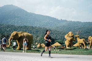 BIB: 
                            <button type="button" onclick="openModal(25883935)" class="btn btn-primary btn-sm float-right btn-popup" data-toggle="modal" data-target=".modal-high-quality">
                        <i class="fas fa-shopping-cart"></i> Add to Cart
                    </button>
                                            <button type="button" onclick="isThisMe(25883935, true)" class="btn btn-success btn-sm float-right btn-popup btn-isme hidden" data-toggle="tooltip" data-placement="bottom" title="นี่คือรูปของคุณใช่ไหม คลิกที่นี่เพื่อเอาเข้าอัลบั้ม">
                        <i class="fas fa-plus"></i> Add to album
                    </button>
                    <button type="button" onclick="isThisMe(25883935, false)" class="btn btn-warning btn-sm float-right btn-popup btn-isnotme hidden">
                        <i class="fas fa-ban"></i> Remove from album
                    </button>