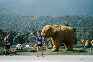 BIB: 
                            <button type="button" onclick="openModal(25909571)" class="btn btn-primary btn-sm float-right btn-popup" data-toggle="modal" data-target=".modal-high-quality">
                        <i class="fas fa-shopping-cart"></i> Add to Cart
                    </button>
                                            <button type="button" onclick="isThisMe(25909571, true)" class="btn btn-success btn-sm float-right btn-popup btn-isme hidden" data-toggle="tooltip" data-placement="bottom" title="นี่คือรูปของคุณใช่ไหม คลิกที่นี่เพื่อเอาเข้าอัลบั้ม">
                        <i class="fas fa-plus"></i> Add to album
                    </button>
                    <button type="button" onclick="isThisMe(25909571, false)" class="btn btn-warning btn-sm float-right btn-popup btn-isnotme hidden">
                        <i class="fas fa-ban"></i> Remove from album
                    </button>