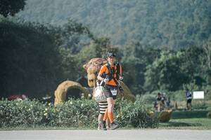 BIB: 
                            <button type="button" onclick="openModal(25884094)" class="btn btn-primary btn-sm float-right btn-popup" data-toggle="modal" data-target=".modal-high-quality">
                        <i class="fas fa-shopping-cart"></i> Add to Cart
                    </button>
                                            <button type="button" onclick="isThisMe(25884094, true)" class="btn btn-success btn-sm float-right btn-popup btn-isme hidden" data-toggle="tooltip" data-placement="bottom" title="นี่คือรูปของคุณใช่ไหม คลิกที่นี่เพื่อเอาเข้าอัลบั้ม">
                        <i class="fas fa-plus"></i> Add to album
                    </button>
                    <button type="button" onclick="isThisMe(25884094, false)" class="btn btn-warning btn-sm float-right btn-popup btn-isnotme hidden">
                        <i class="fas fa-ban"></i> Remove from album
                    </button>