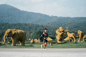 BIB: 
                            <button type="button" onclick="openModal(25871899)" class="btn btn-primary btn-sm float-right btn-popup" data-toggle="modal" data-target=".modal-high-quality">
                        <i class="fas fa-shopping-cart"></i> Add to Cart
                    </button>
                                            <button type="button" onclick="isThisMe(25871899, true)" class="btn btn-success btn-sm float-right btn-popup btn-isme hidden" data-toggle="tooltip" data-placement="bottom" title="นี่คือรูปของคุณใช่ไหม คลิกที่นี่เพื่อเอาเข้าอัลบั้ม">
                        <i class="fas fa-plus"></i> Add to album
                    </button>
                    <button type="button" onclick="isThisMe(25871899, false)" class="btn btn-warning btn-sm float-right btn-popup btn-isnotme hidden">
                        <i class="fas fa-ban"></i> Remove from album
                    </button>