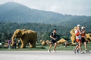 BIB: 
                            <button type="button" onclick="openModal(25882500)" class="btn btn-primary btn-sm float-right btn-popup" data-toggle="modal" data-target=".modal-high-quality">
                        <i class="fas fa-shopping-cart"></i> Add to Cart
                    </button>
                                            <button type="button" onclick="isThisMe(25882500, true)" class="btn btn-success btn-sm float-right btn-popup btn-isme hidden" data-toggle="tooltip" data-placement="bottom" title="นี่คือรูปของคุณใช่ไหม คลิกที่นี่เพื่อเอาเข้าอัลบั้ม">
                        <i class="fas fa-plus"></i> Add to album
                    </button>
                    <button type="button" onclick="isThisMe(25882500, false)" class="btn btn-warning btn-sm float-right btn-popup btn-isnotme hidden">
                        <i class="fas fa-ban"></i> Remove from album
                    </button>