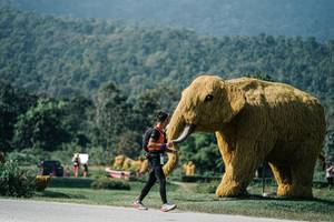 BIB: 
                            <button type="button" onclick="openModal(25887565)" class="btn btn-primary btn-sm float-right btn-popup" data-toggle="modal" data-target=".modal-high-quality">
                        <i class="fas fa-shopping-cart"></i> Add to Cart
                    </button>
                                            <button type="button" onclick="isThisMe(25887565, true)" class="btn btn-success btn-sm float-right btn-popup btn-isme hidden" data-toggle="tooltip" data-placement="bottom" title="นี่คือรูปของคุณใช่ไหม คลิกที่นี่เพื่อเอาเข้าอัลบั้ม">
                        <i class="fas fa-plus"></i> Add to album
                    </button>
                    <button type="button" onclick="isThisMe(25887565, false)" class="btn btn-warning btn-sm float-right btn-popup btn-isnotme hidden">
                        <i class="fas fa-ban"></i> Remove from album
                    </button>