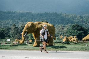 BIB: 
                            <button type="button" onclick="openModal(25945703)" class="btn btn-primary btn-sm float-right btn-popup" data-toggle="modal" data-target=".modal-high-quality">
                        <i class="fas fa-shopping-cart"></i> Add to Cart
                    </button>
                                            <button type="button" onclick="isThisMe(25945703, true)" class="btn btn-success btn-sm float-right btn-popup btn-isme hidden" data-toggle="tooltip" data-placement="bottom" title="นี่คือรูปของคุณใช่ไหม คลิกที่นี่เพื่อเอาเข้าอัลบั้ม">
                        <i class="fas fa-plus"></i> Add to album
                    </button>
                    <button type="button" onclick="isThisMe(25945703, false)" class="btn btn-warning btn-sm float-right btn-popup btn-isnotme hidden">
                        <i class="fas fa-ban"></i> Remove from album
                    </button>