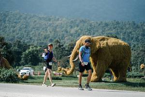 BIB: 
                            <button type="button" onclick="openModal(25931788)" class="btn btn-primary btn-sm float-right btn-popup" data-toggle="modal" data-target=".modal-high-quality">
                        <i class="fas fa-shopping-cart"></i> Add to Cart
                    </button>
                                            <button type="button" onclick="isThisMe(25931788, true)" class="btn btn-success btn-sm float-right btn-popup btn-isme hidden" data-toggle="tooltip" data-placement="bottom" title="นี่คือรูปของคุณใช่ไหม คลิกที่นี่เพื่อเอาเข้าอัลบั้ม">
                        <i class="fas fa-plus"></i> Add to album
                    </button>
                    <button type="button" onclick="isThisMe(25931788, false)" class="btn btn-warning btn-sm float-right btn-popup btn-isnotme hidden">
                        <i class="fas fa-ban"></i> Remove from album
                    </button>