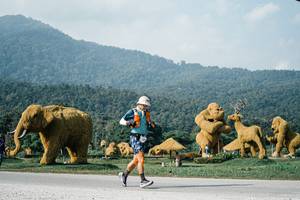 BIB: 
                            <button type="button" onclick="openModal(25872067)" class="btn btn-primary btn-sm float-right btn-popup" data-toggle="modal" data-target=".modal-high-quality">
                        <i class="fas fa-shopping-cart"></i> Add to Cart
                    </button>
                                            <button type="button" onclick="isThisMe(25872067, true)" class="btn btn-success btn-sm float-right btn-popup btn-isme hidden" data-toggle="tooltip" data-placement="bottom" title="นี่คือรูปของคุณใช่ไหม คลิกที่นี่เพื่อเอาเข้าอัลบั้ม">
                        <i class="fas fa-plus"></i> Add to album
                    </button>
                    <button type="button" onclick="isThisMe(25872067, false)" class="btn btn-warning btn-sm float-right btn-popup btn-isnotme hidden">
                        <i class="fas fa-ban"></i> Remove from album
                    </button>