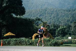 BIB: 
                            <button type="button" onclick="openModal(25872118)" class="btn btn-primary btn-sm float-right btn-popup" data-toggle="modal" data-target=".modal-high-quality">
                        <i class="fas fa-shopping-cart"></i> Add to Cart
                    </button>
                                            <button type="button" onclick="isThisMe(25872118, true)" class="btn btn-success btn-sm float-right btn-popup btn-isme hidden" data-toggle="tooltip" data-placement="bottom" title="นี่คือรูปของคุณใช่ไหม คลิกที่นี่เพื่อเอาเข้าอัลบั้ม">
                        <i class="fas fa-plus"></i> Add to album
                    </button>
                    <button type="button" onclick="isThisMe(25872118, false)" class="btn btn-warning btn-sm float-right btn-popup btn-isnotme hidden">
                        <i class="fas fa-ban"></i> Remove from album
                    </button>