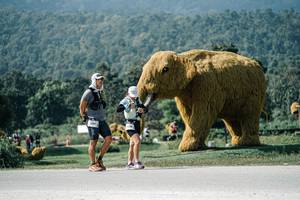 BIB: 
                            <button type="button" onclick="openModal(25915895)" class="btn btn-primary btn-sm float-right btn-popup" data-toggle="modal" data-target=".modal-high-quality">
                        <i class="fas fa-shopping-cart"></i> Add to Cart
                    </button>
                                            <button type="button" onclick="isThisMe(25915895, true)" class="btn btn-success btn-sm float-right btn-popup btn-isme hidden" data-toggle="tooltip" data-placement="bottom" title="นี่คือรูปของคุณใช่ไหม คลิกที่นี่เพื่อเอาเข้าอัลบั้ม">
                        <i class="fas fa-plus"></i> Add to album
                    </button>
                    <button type="button" onclick="isThisMe(25915895, false)" class="btn btn-warning btn-sm float-right btn-popup btn-isnotme hidden">
                        <i class="fas fa-ban"></i> Remove from album
                    </button>