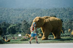 BIB: 
                            <button type="button" onclick="openModal(25956019)" class="btn btn-primary btn-sm float-right btn-popup" data-toggle="modal" data-target=".modal-high-quality">
                        <i class="fas fa-shopping-cart"></i> Add to Cart
                    </button>
                                            <button type="button" onclick="isThisMe(25956019, true)" class="btn btn-success btn-sm float-right btn-popup btn-isme hidden" data-toggle="tooltip" data-placement="bottom" title="นี่คือรูปของคุณใช่ไหม คลิกที่นี่เพื่อเอาเข้าอัลบั้ม">
                        <i class="fas fa-plus"></i> Add to album
                    </button>
                    <button type="button" onclick="isThisMe(25956019, false)" class="btn btn-warning btn-sm float-right btn-popup btn-isnotme hidden">
                        <i class="fas fa-ban"></i> Remove from album
                    </button>