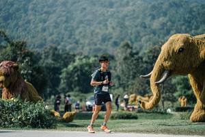 BIB: 
                            <button type="button" onclick="openModal(25918448)" class="btn btn-primary btn-sm float-right btn-popup" data-toggle="modal" data-target=".modal-high-quality">
                        <i class="fas fa-shopping-cart"></i> Add to Cart
                    </button>
                                            <button type="button" onclick="isThisMe(25918448, true)" class="btn btn-success btn-sm float-right btn-popup btn-isme hidden" data-toggle="tooltip" data-placement="bottom" title="นี่คือรูปของคุณใช่ไหม คลิกที่นี่เพื่อเอาเข้าอัลบั้ม">
                        <i class="fas fa-plus"></i> Add to album
                    </button>
                    <button type="button" onclick="isThisMe(25918448, false)" class="btn btn-warning btn-sm float-right btn-popup btn-isnotme hidden">
                        <i class="fas fa-ban"></i> Remove from album
                    </button>