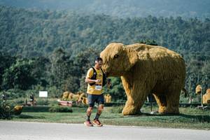 BIB: 
                            <button type="button" onclick="openModal(25893201)" class="btn btn-primary btn-sm float-right btn-popup" data-toggle="modal" data-target=".modal-high-quality">
                        <i class="fas fa-shopping-cart"></i> Add to Cart
                    </button>
                                            <button type="button" onclick="isThisMe(25893201, true)" class="btn btn-success btn-sm float-right btn-popup btn-isme hidden" data-toggle="tooltip" data-placement="bottom" title="นี่คือรูปของคุณใช่ไหม คลิกที่นี่เพื่อเอาเข้าอัลบั้ม">
                        <i class="fas fa-plus"></i> Add to album
                    </button>
                    <button type="button" onclick="isThisMe(25893201, false)" class="btn btn-warning btn-sm float-right btn-popup btn-isnotme hidden">
                        <i class="fas fa-ban"></i> Remove from album
                    </button>