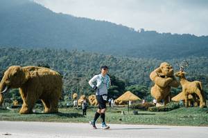 BIB: 
                            <button type="button" onclick="openModal(25922676)" class="btn btn-primary btn-sm float-right btn-popup" data-toggle="modal" data-target=".modal-high-quality">
                        <i class="fas fa-shopping-cart"></i> Add to Cart
                    </button>
                                            <button type="button" onclick="isThisMe(25922676, true)" class="btn btn-success btn-sm float-right btn-popup btn-isme hidden" data-toggle="tooltip" data-placement="bottom" title="นี่คือรูปของคุณใช่ไหม คลิกที่นี่เพื่อเอาเข้าอัลบั้ม">
                        <i class="fas fa-plus"></i> Add to album
                    </button>
                    <button type="button" onclick="isThisMe(25922676, false)" class="btn btn-warning btn-sm float-right btn-popup btn-isnotme hidden">
                        <i class="fas fa-ban"></i> Remove from album
                    </button>