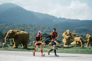 BIB: 
                            <button type="button" onclick="openModal(25952733)" class="btn btn-primary btn-sm float-right btn-popup" data-toggle="modal" data-target=".modal-high-quality">
                        <i class="fas fa-shopping-cart"></i> Add to Cart
                    </button>
                                            <button type="button" onclick="isThisMe(25952733, true)" class="btn btn-success btn-sm float-right btn-popup btn-isme hidden" data-toggle="tooltip" data-placement="bottom" title="นี่คือรูปของคุณใช่ไหม คลิกที่นี่เพื่อเอาเข้าอัลบั้ม">
                        <i class="fas fa-plus"></i> Add to album
                    </button>
                    <button type="button" onclick="isThisMe(25952733, false)" class="btn btn-warning btn-sm float-right btn-popup btn-isnotme hidden">
                        <i class="fas fa-ban"></i> Remove from album
                    </button>