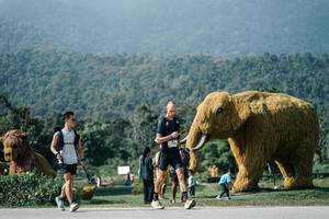 BIB: 
                            <button type="button" onclick="openModal(25890467)" class="btn btn-primary btn-sm float-right btn-popup" data-toggle="modal" data-target=".modal-high-quality">
                        <i class="fas fa-shopping-cart"></i> Add to Cart
                    </button>
                                            <button type="button" onclick="isThisMe(25890467, true)" class="btn btn-success btn-sm float-right btn-popup btn-isme hidden" data-toggle="tooltip" data-placement="bottom" title="นี่คือรูปของคุณใช่ไหม คลิกที่นี่เพื่อเอาเข้าอัลบั้ม">
                        <i class="fas fa-plus"></i> Add to album
                    </button>
                    <button type="button" onclick="isThisMe(25890467, false)" class="btn btn-warning btn-sm float-right btn-popup btn-isnotme hidden">
                        <i class="fas fa-ban"></i> Remove from album
                    </button>