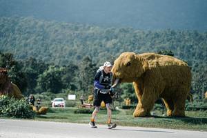 BIB: 
                            <button type="button" onclick="openModal(25935451)" class="btn btn-primary btn-sm float-right btn-popup" data-toggle="modal" data-target=".modal-high-quality">
                        <i class="fas fa-shopping-cart"></i> Add to Cart
                    </button>
                                            <button type="button" onclick="isThisMe(25935451, true)" class="btn btn-success btn-sm float-right btn-popup btn-isme hidden" data-toggle="tooltip" data-placement="bottom" title="นี่คือรูปของคุณใช่ไหม คลิกที่นี่เพื่อเอาเข้าอัลบั้ม">
                        <i class="fas fa-plus"></i> Add to album
                    </button>
                    <button type="button" onclick="isThisMe(25935451, false)" class="btn btn-warning btn-sm float-right btn-popup btn-isnotme hidden">
                        <i class="fas fa-ban"></i> Remove from album
                    </button>