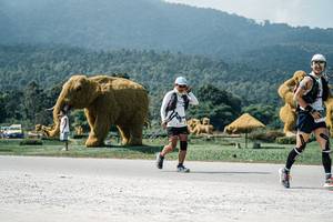 BIB: 
                            <button type="button" onclick="openModal(25956600)" class="btn btn-primary btn-sm float-right btn-popup" data-toggle="modal" data-target=".modal-high-quality">
                        <i class="fas fa-shopping-cart"></i> Add to Cart
                    </button>
                                            <button type="button" onclick="isThisMe(25956600, true)" class="btn btn-success btn-sm float-right btn-popup btn-isme hidden" data-toggle="tooltip" data-placement="bottom" title="นี่คือรูปของคุณใช่ไหม คลิกที่นี่เพื่อเอาเข้าอัลบั้ม">
                        <i class="fas fa-plus"></i> Add to album
                    </button>
                    <button type="button" onclick="isThisMe(25956600, false)" class="btn btn-warning btn-sm float-right btn-popup btn-isnotme hidden">
                        <i class="fas fa-ban"></i> Remove from album
                    </button>