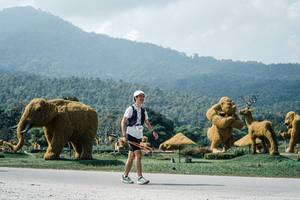 BIB: 
                            <button type="button" onclick="openModal(25968404)" class="btn btn-primary btn-sm float-right btn-popup" data-toggle="modal" data-target=".modal-high-quality">
                        <i class="fas fa-shopping-cart"></i> Add to Cart
                    </button>
                                            <button type="button" onclick="isThisMe(25968404, true)" class="btn btn-success btn-sm float-right btn-popup btn-isme hidden" data-toggle="tooltip" data-placement="bottom" title="นี่คือรูปของคุณใช่ไหม คลิกที่นี่เพื่อเอาเข้าอัลบั้ม">
                        <i class="fas fa-plus"></i> Add to album
                    </button>
                    <button type="button" onclick="isThisMe(25968404, false)" class="btn btn-warning btn-sm float-right btn-popup btn-isnotme hidden">
                        <i class="fas fa-ban"></i> Remove from album
                    </button>