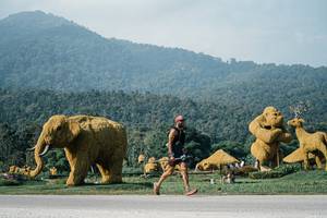 BIB: 
                            <button type="button" onclick="openModal(25872407)" class="btn btn-primary btn-sm float-right btn-popup" data-toggle="modal" data-target=".modal-high-quality">
                        <i class="fas fa-shopping-cart"></i> Add to Cart
                    </button>
                                            <button type="button" onclick="isThisMe(25872407, true)" class="btn btn-success btn-sm float-right btn-popup btn-isme hidden" data-toggle="tooltip" data-placement="bottom" title="นี่คือรูปของคุณใช่ไหม คลิกที่นี่เพื่อเอาเข้าอัลบั้ม">
                        <i class="fas fa-plus"></i> Add to album
                    </button>
                    <button type="button" onclick="isThisMe(25872407, false)" class="btn btn-warning btn-sm float-right btn-popup btn-isnotme hidden">
                        <i class="fas fa-ban"></i> Remove from album
                    </button>